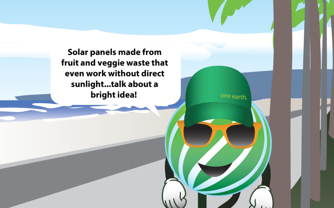 Solar panels made from fruit and veggie waste that even work without direct sunlight…talk about a bright idea!